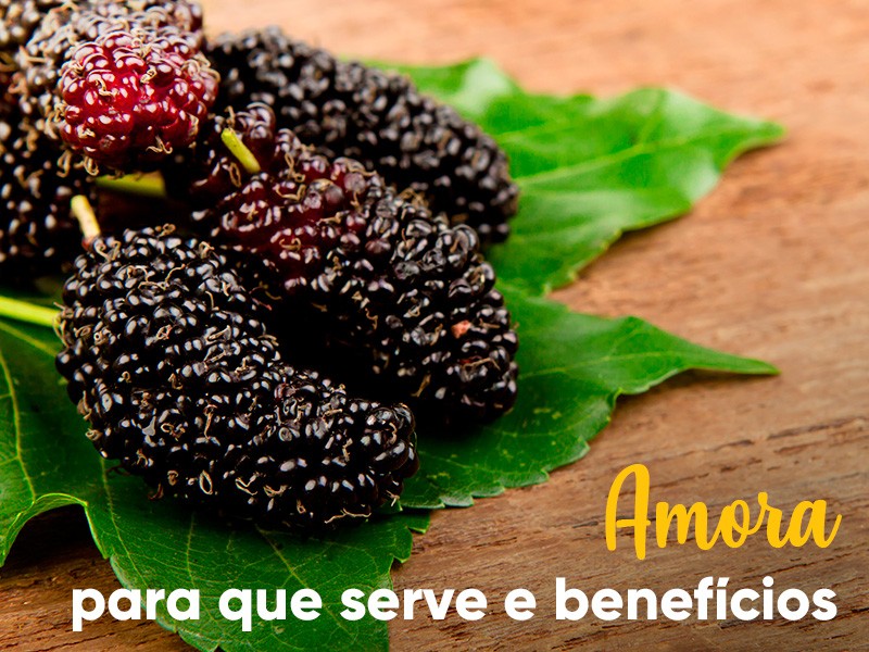 Amora: Para que serve e benefcios